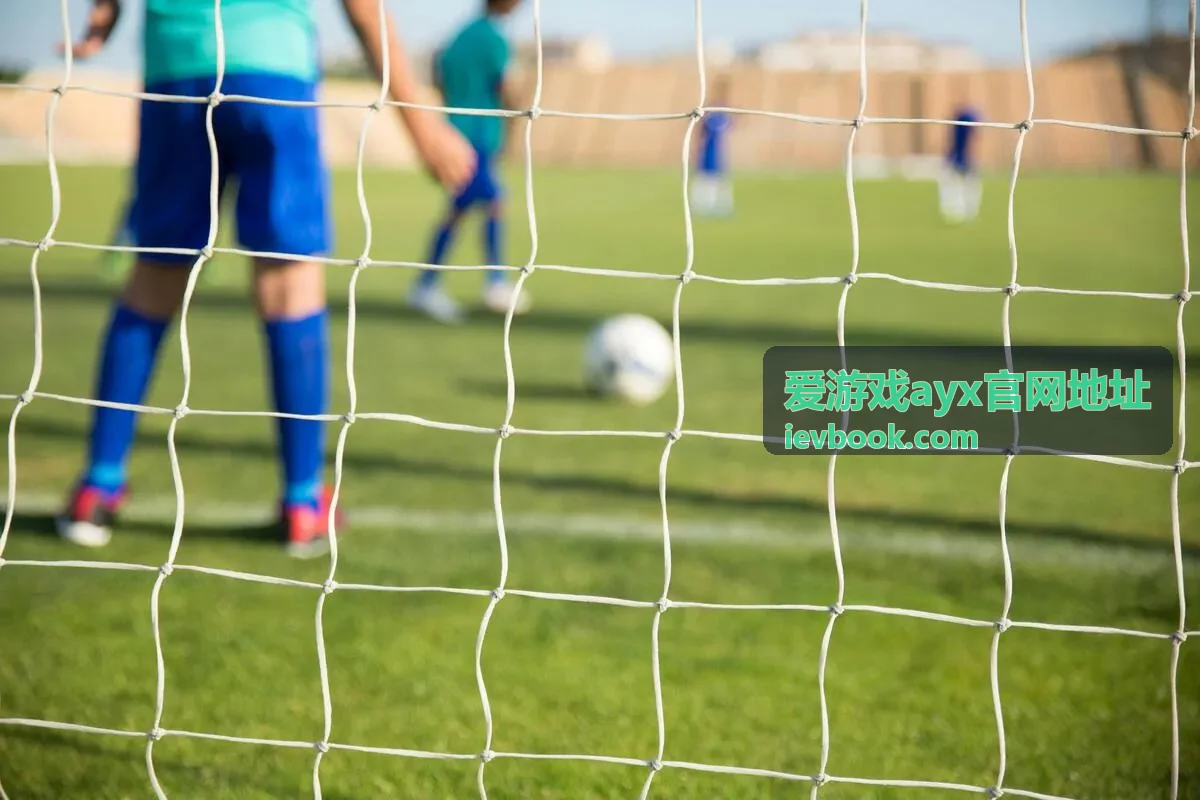 爱游戏ayx官网地址玩法攻略之组队副本分工封面