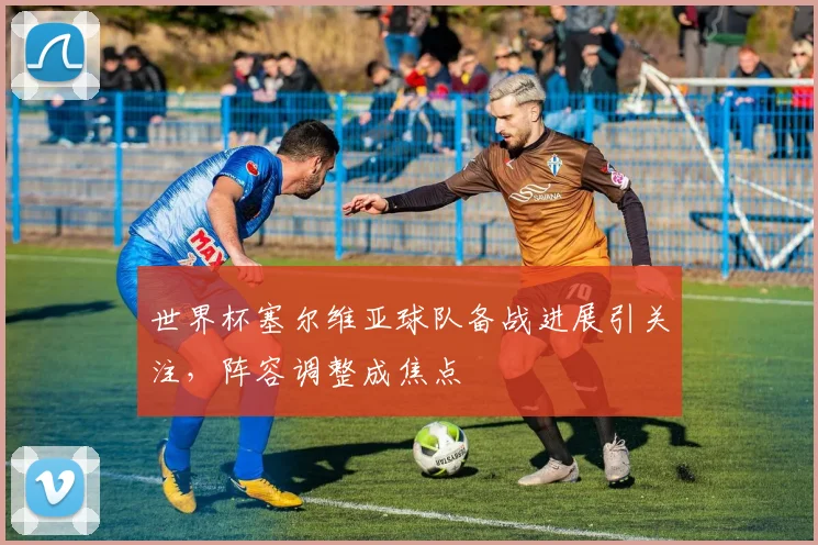 世界杯塞尔维亚球队备战进展引关注,阵容调整成焦点