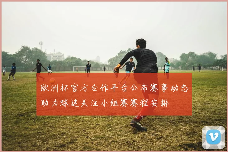 欧洲杯官方合作平台公布赛事动态助力球迷关注小组赛赛程安排